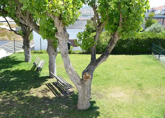 Bed & Breakfast Mares Vivas Lourinhã